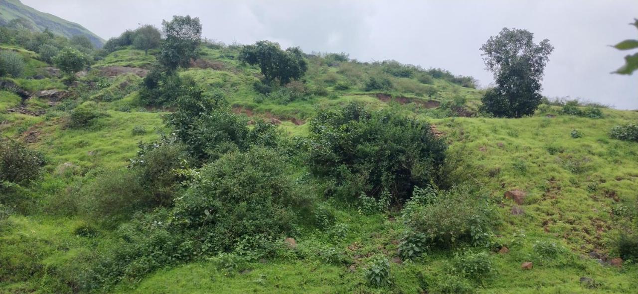 Golden Resort And Farm Nashik Exterior foto